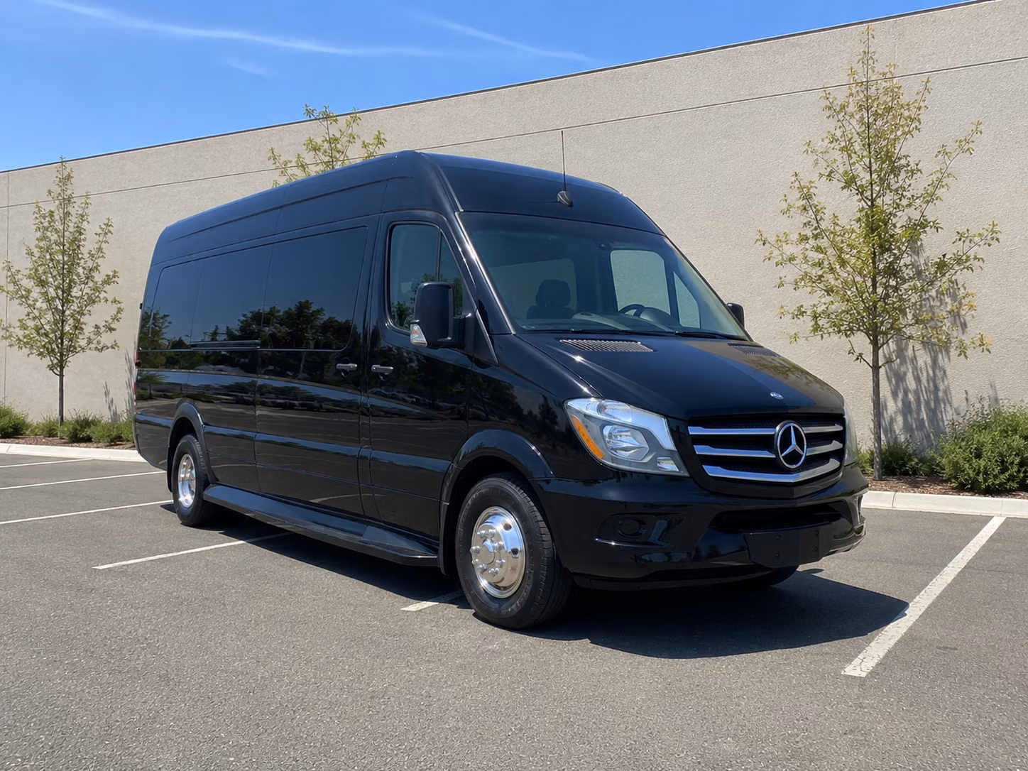 sprinter van with driver